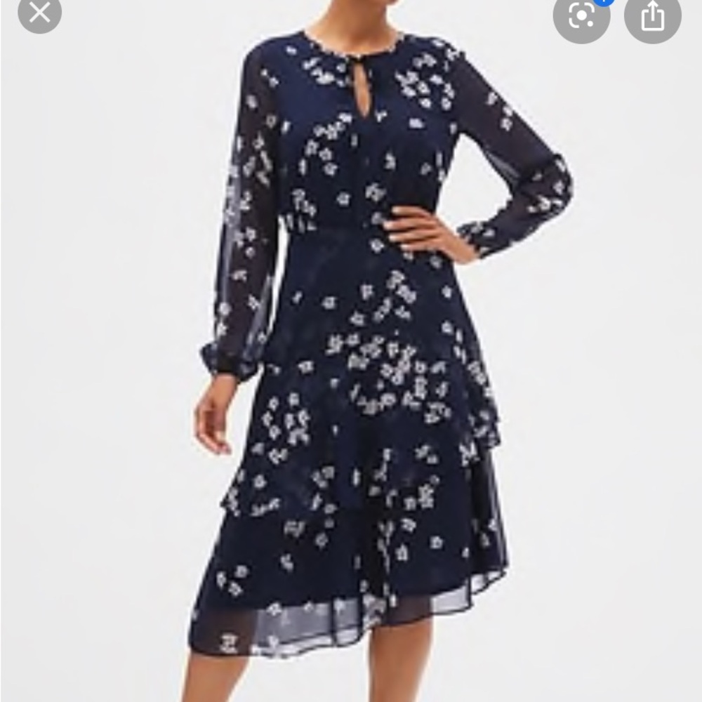 Dress size 12